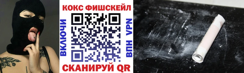 COCAIN Fish Scale  ОМГ ОМГ вход  Сыктывкар 