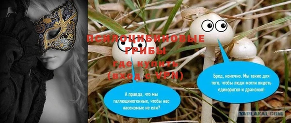 стафф Горнозаводск