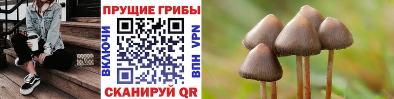 где можно купить наркотик Сыктывкар Галлюциногенные грибы GOLDEN TEACHER